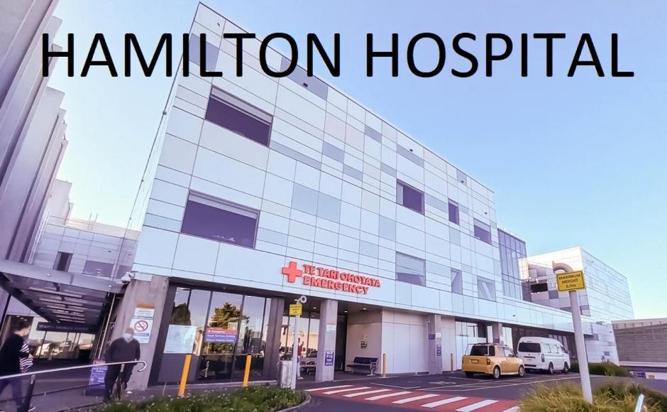 Self Contained En-Suite Private Bathroom, Private Entrance, Close To Shops & Hospital Homestay Hamilton Extérieur photo